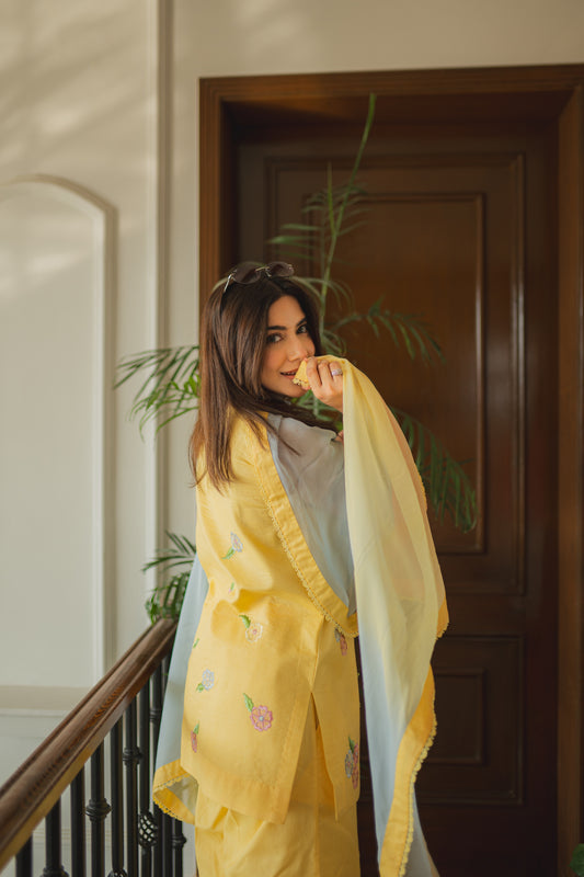 Dupatta Sun-Kissed